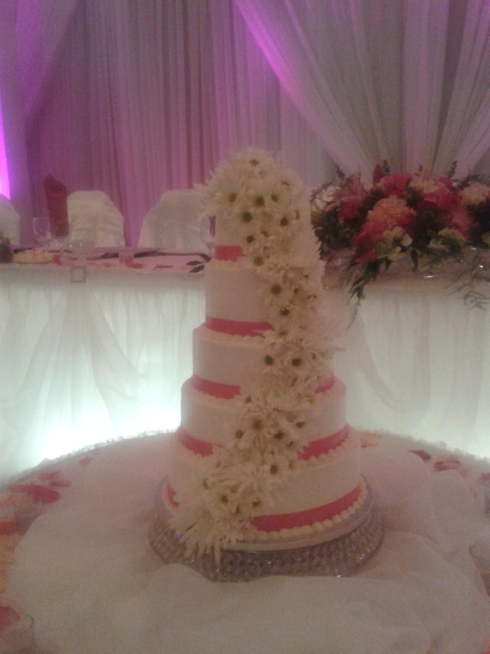 Cake Image